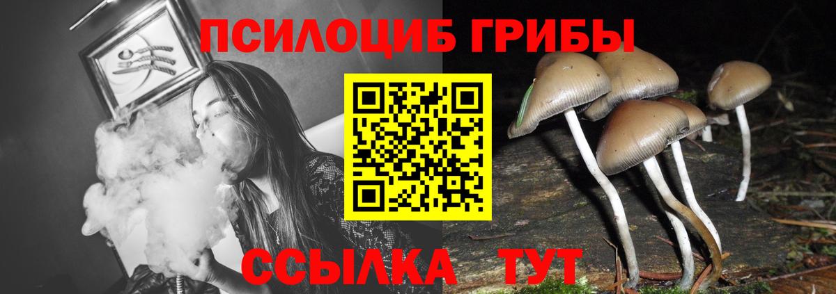 Галлюциногенные грибы мицелий Троицк